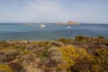 Corsica, Corse, Cap Corse, Upper Corse, France, Europe, island Royalty Free Stock Photo