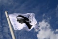 Corsica flag with the Moor`s head fluttering in the wind Royalty Free Stock Photo