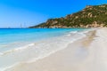 View of idyllic beachBeautiful Roccapina beach, Corsica island, France