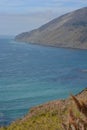 Cortaderia selloana commonly known as pampas grass Big Sur HWY 1 with Mud Creek landslide in background Royalty Free Stock Photo