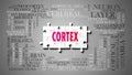 Cortex as a complex subject, related to important topics spreading around as a word cloud