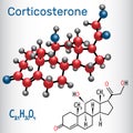 Corticosterone steroid hormone - structural chemical formula a Royalty Free Stock Photo