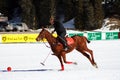 Cortina winter polo cup 2008 Royalty Free Stock Photo