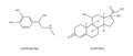 Cortisol and adrenaline outline icons. Stress related hormones produced by adrenal glands. Hydrocortisone and