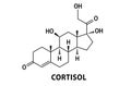 Cortisol hormone formula, chemical structure of molecule