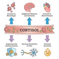 Cortisol hormone increased or decreased level symptom scheme outline concept