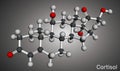 Cortisol, hydrocortisone steroid molecule. Molecular model. 3D rendering. Illustration Royalty Free Stock Photo