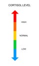 Cortisol meter vertical scale. Body stress response levels chart from low to high isolated on white background. Vector