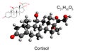 Chemical formula, skeletal formula and 3D ball-and-stick model of the hormone cortisol, white background