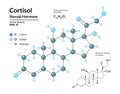 Cortisol. Steroid Hormone. Structural Chemical Molecular Formula and 3d Model of Stress Hormone Royalty Free Stock Photo