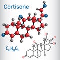 Cortisone steroid hormone - structural chemical formula and mo Royalty Free Stock Photo