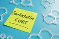 Cortistatin CORT written on the sticker and molecular models. Royalty Free Stock Photo