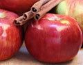 Cortland Apples and Cinnamon Sticks Royalty Free Stock Photo