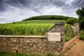 Burgundy. Corton-Charlemagne is the Grand Cru appellation for the white wines of the Montagne de Corton hill, France Royalty Free Stock Photo