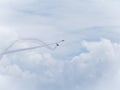 A Coruna - Spain - Aerobatic show