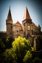 Corvin Castle Royalty Free Stock Photo