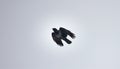 Corvus cornix flies across the blue sky Royalty Free Stock Photo