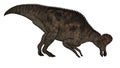 Corythosaurus dinosaur - 3D render Royalty Free Stock Photo