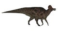 Corythosaurus dinosaur - 3D render Royalty Free Stock Photo