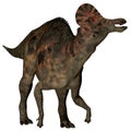 Corythosaurus Duck-billed Dinosaur