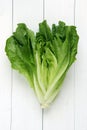 Cos lettuce isolated Royalty Free Stock Photo