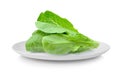 Cos Lettuce in plate isolated on white background Royalty Free Stock Photo