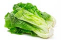 Cos Romaine lettuce isolated on white background. Fresh green salad leaves from garden Royalty Free Stock Photo