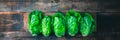 Cos Romaine lettuce isolated on white background. Fresh green salad leaves from garden Royalty Free Stock Photo