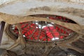 Cosanti Paolo Soleri Studios, Paradise Valley Scottsdale Arizona, United States