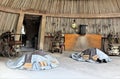 Cosanti Paolo Soleri Studios, Paradise Valley Scottsdale Arizona, United States