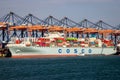 COSCO container ship being loaded by gantry cranes in the ECT Shipping Terminal in the Port of Rotterdam. March 16, 2016 Royalty Free Stock Photo