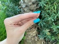 Cose up woman hand showing blue polish while holding a leaf. Nail art styling, beauty, manicure concept