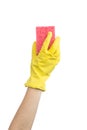 Coseup of female hand in protective rubber glove holding cleaning sponge, isolated on a white background photo Royalty Free Stock Photo