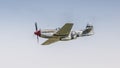 P51 Mustang vintage fighter Royalty Free Stock Photo