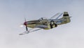 P51 Mustang vintage fighter Royalty Free Stock Photo