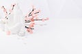 Cosmetic, beauty products for makeup, cleansing skin in white bottles, spring pink sakura flowers toiletry on table in white