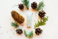 Cosmetic bottle, cones and spruce branches on white background, top view.