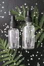 Cosmetic bottle containers with green herbal leaves, Blank label for branding mock-up, Natural beauty Royalty Free Stock Photo