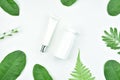 Cosmetic bottle containers with green herbal leaves, Blank label package for branding mock-up. Royalty Free Stock Photo