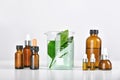 Cosmetic bottle containers with green herbal leaves and scientific glassware, Blank label package for branding mock-up Royalty Free Stock Photo