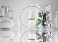 Cosmetic bottle containers with green herbal leaves and scientific glassware, Focus on blank label package for branding mock-up. Royalty Free Stock Photo