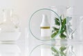 Cosmetic bottle containers with green herbal leaves and scientific glassware, Focus on blank label package for branding mock-up