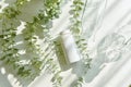 Cosmetic bottle containers packaging with green herbal leaves in shadow and light effect, Blank label for organic branding mock-up Royalty Free Stock Photo