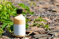 Cosmetic bottle in green leaves on stones with wire Royalty Free Stock Photo