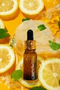 Cosmetic bottle, lemon slices, mint and ice