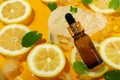 Cosmetic bottle, lemon slices, mint and ice