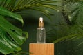 Cosmetic bottle oil on wooden podium on green background with palm and monstera leaves. aromatic oil, natural organic beauty