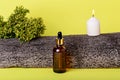 Cosmetic bottle, plant, candle and tree bark Royalty Free Stock Photo