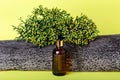 Cosmetic bottle, plant and tree bark