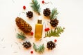 Cosmetic bottle, spruce branches and cones on white background